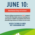 flyer for Northeast Day of Action